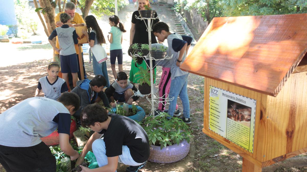 O trabalho de preservação das abelhas sem ferrão se tornou destaque na Escola Estadual Dr. Disnei Francisco Scornaienchi, localizada no Parque Jambeiro em Campinas; a unidade instalou o meliponário didático, dedicado a ensinar os alunos e toda a comunidade escolar sobre a importância da preservação desses animais, considerados como os principais agentes polinizadores (Rodrigo Zanotto)