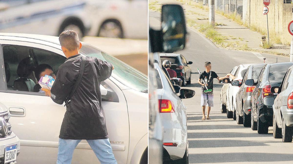 O vice-procurador-chefe do MPT em Campinas, Ronaldo Lira, explicou que o crescimento das denúncias decorre de uma cultura nacional permissiva ao trabalho infantil: “O trabalho infantil não é formação de caráter, não é escola de vida, e muito menos solução para a pobreza. Ele é, na verdade, uma violação de direitos”, criticou. (Kamá Ribeiro; Alessandro Torres)