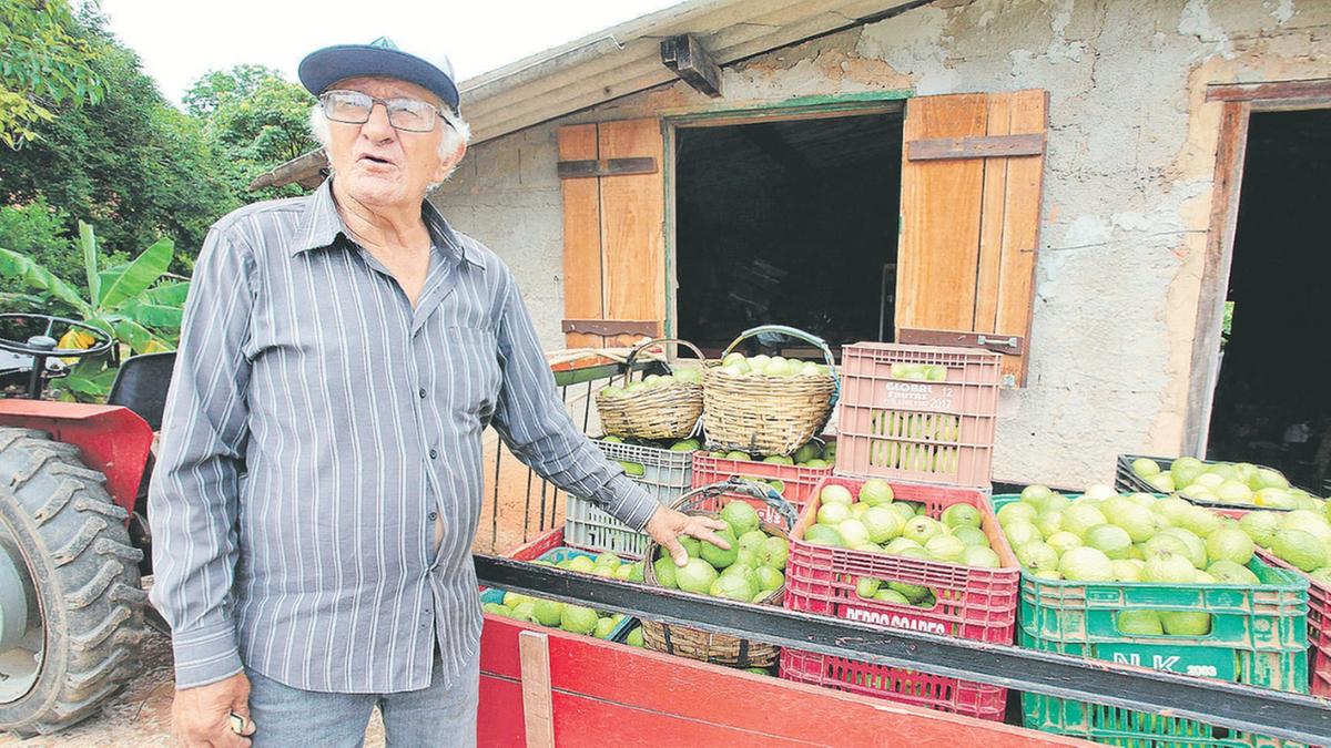 "Na Itália, o turista não visita apenas a cidade de Florença, ele também vai para as do entorno. Aqui em Campinas nós temos esse potencial, pois estamos muito próximos dos circuitos das Águas e das Frutas", analisou o secretário de Desenvolvimento Econômico, Jorge Luiz Lima (Rodrigo Zanotto)
