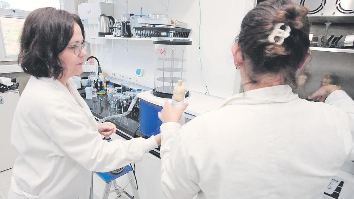 Uma das startups instaladas no Parque da Unicamp usa a biotecnologia para transformar ingredientes vegetais e subprodutos agroindustriais em insumos para a própria indústria (Rodrigo Zanotto)