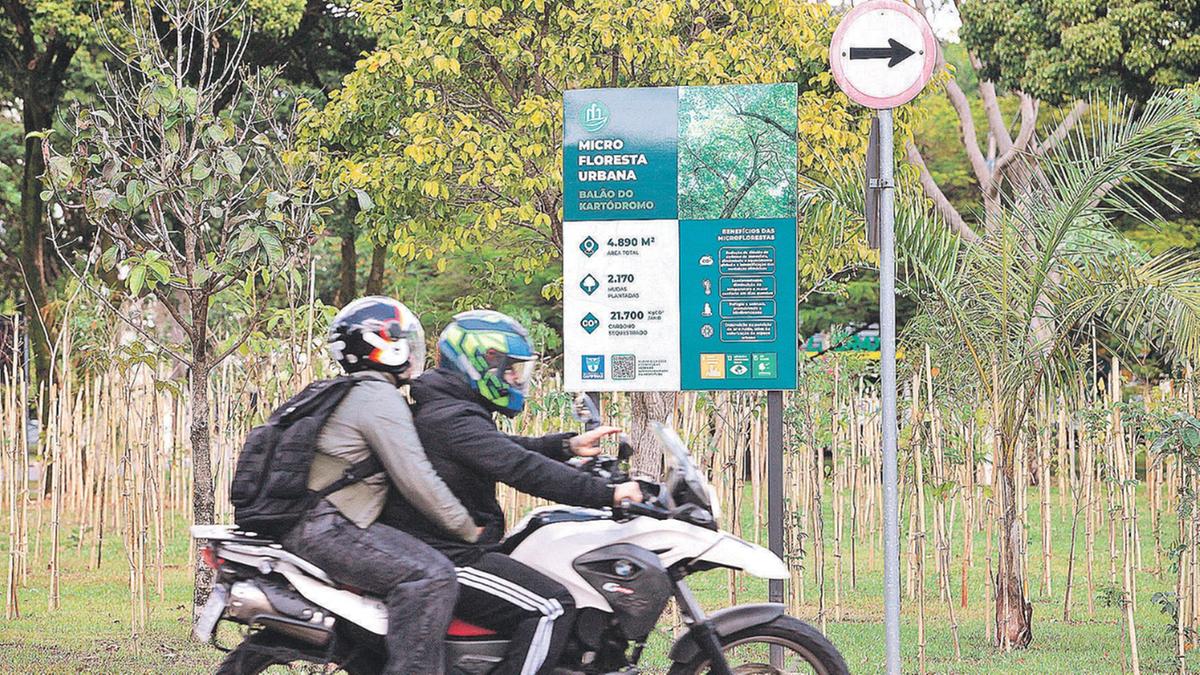 Campinas criou nove microflorestas desde o início de abril, com total de 12.494 mudas plantadas; uma delas fica no balão em frente ao Kartódromo do Taquaral (Rodrigo Zanotto)