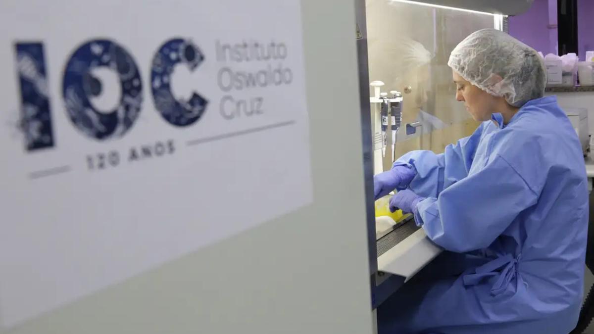  (Divulgação/Josué Damacena (IOC/Fiocruz))