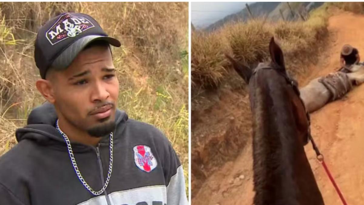  (Reprodução/TV Vanguarda)