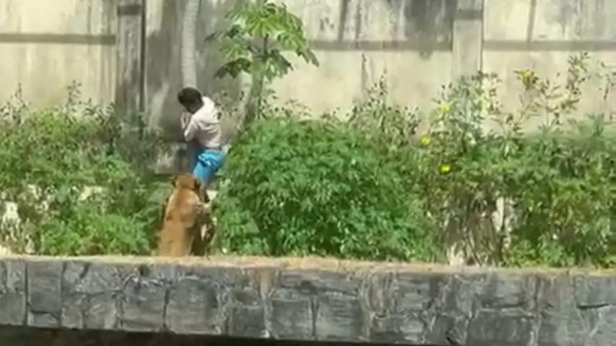  (Captura de vídeo)