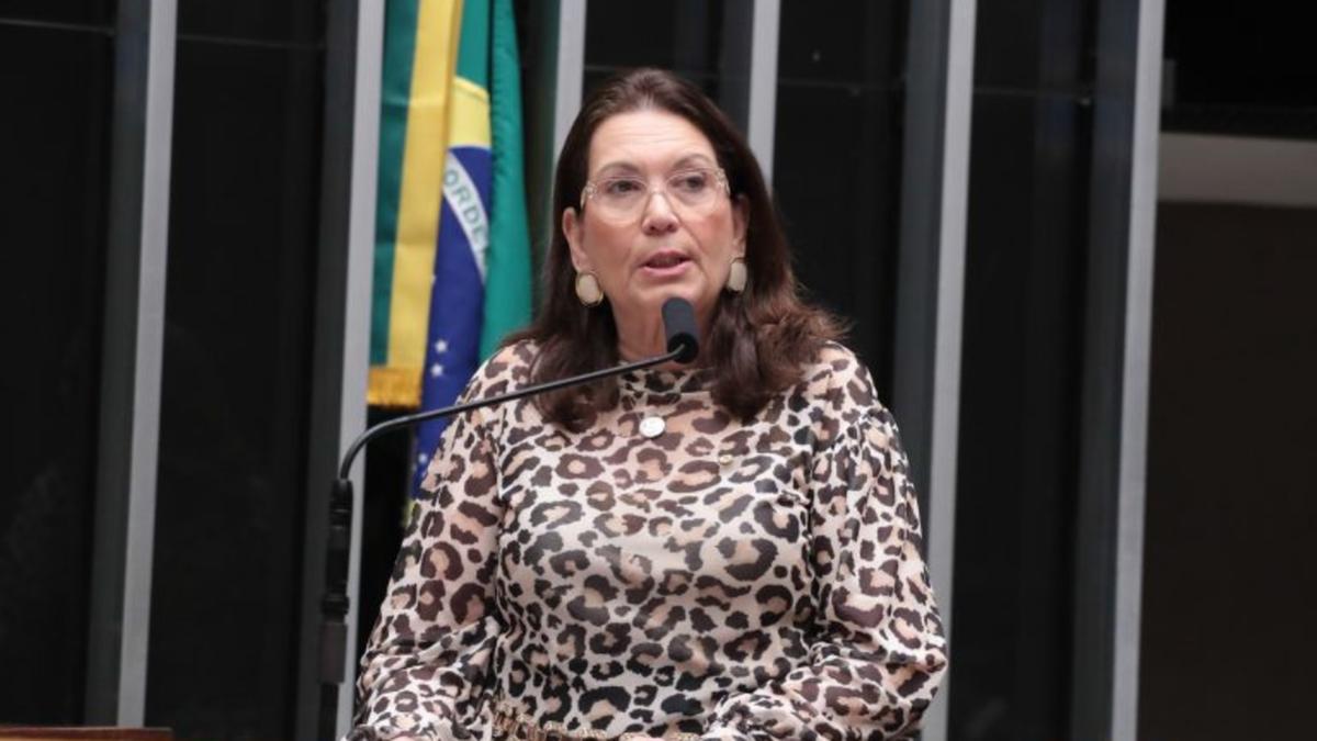 Bia Kicis é a relatora do projeto (Bruno Spada/Câmara dos Deputados)