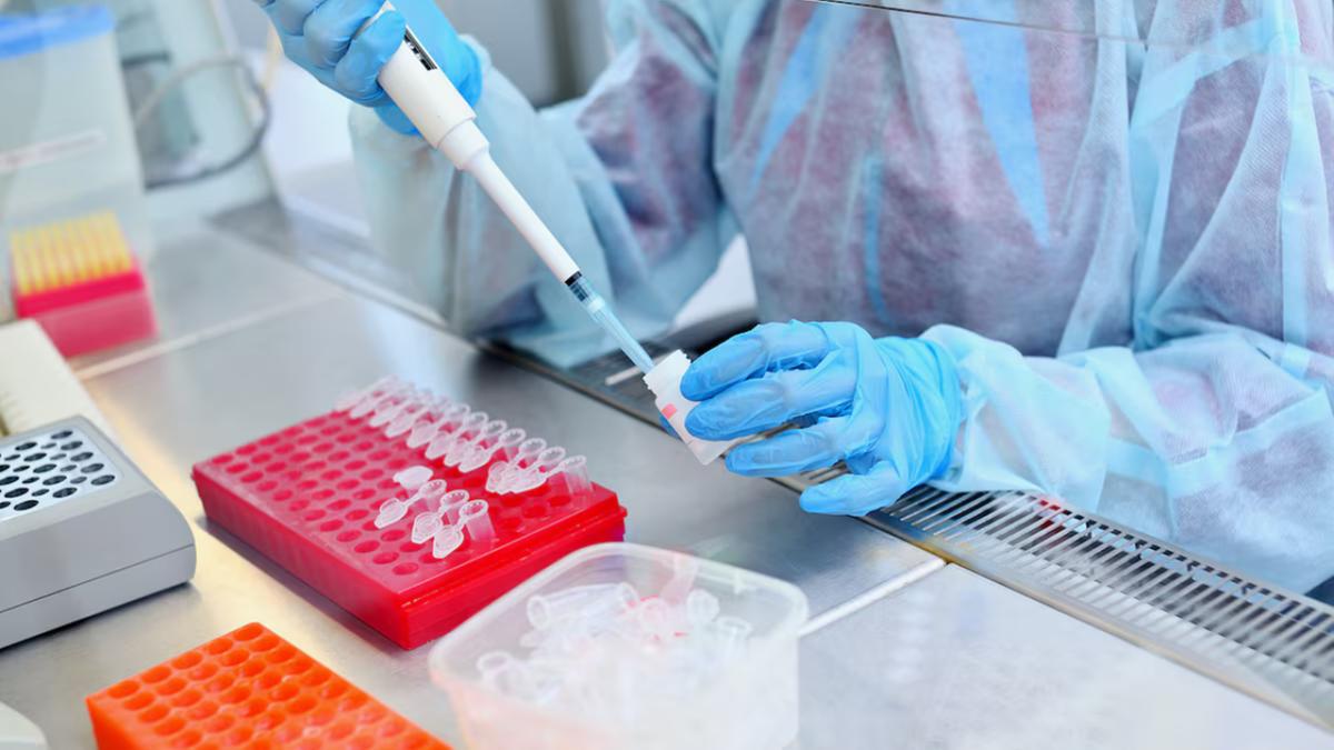 Exame identifica mutações nos genes BRCA1 e BRCA2, alterações frequentemente relacionadas a casos hereditários de câncer de mama (Salomonus/Adobe Stock)