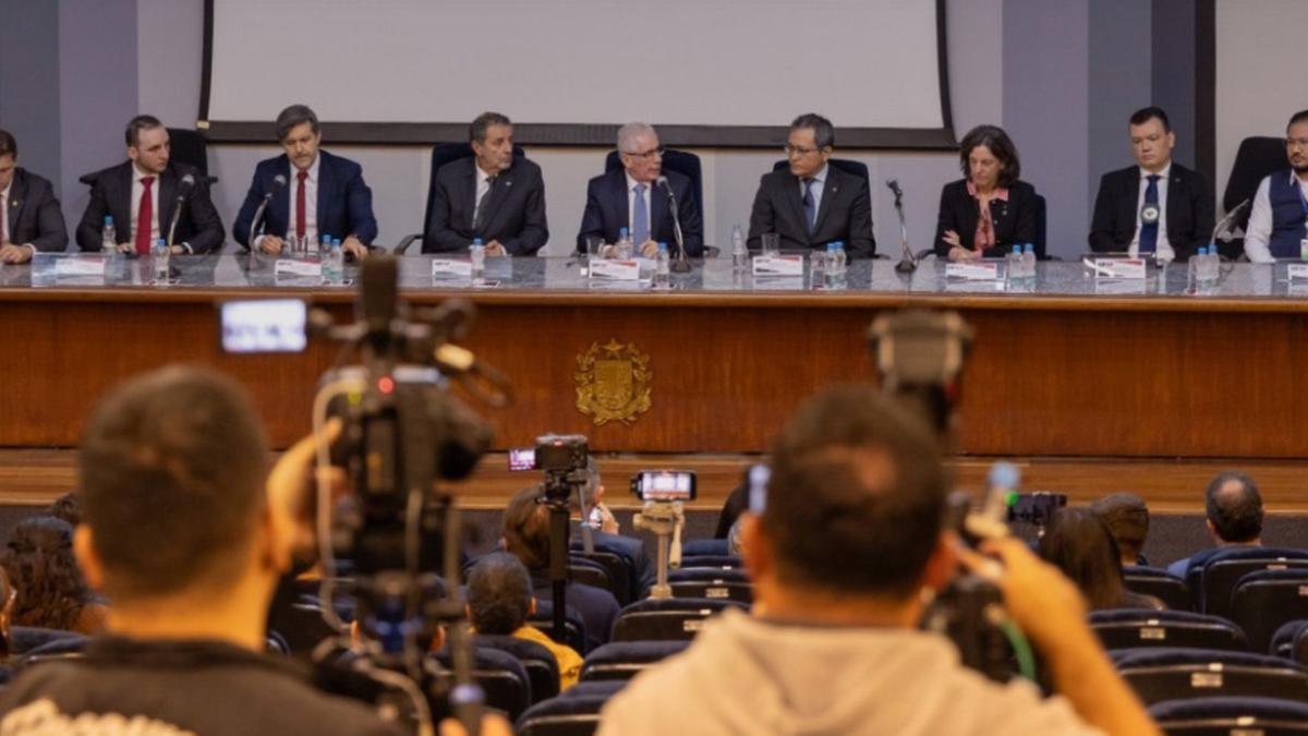 A força-tarefa é formada por promotores do GAECO, por agentes da Receita Federal, fiscais da Agência Nacional de Petróleo (ANP), equipes da Secretaria da Fazenda do Estado de São Paulo e da Procuradoria-Geral do Estado, além de policiais militares e civis (MPSP/Polícia Militar)