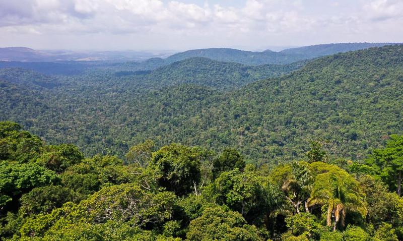 O vice-presidente da República, Hamilton Mourão, e os chefes de missões diplomáticas à Amazônia Oriental, fazem sobrevoo para a  sobre a Floresta Nacional de Carajás e visita à mineradora Vale. (TV Brasil)
