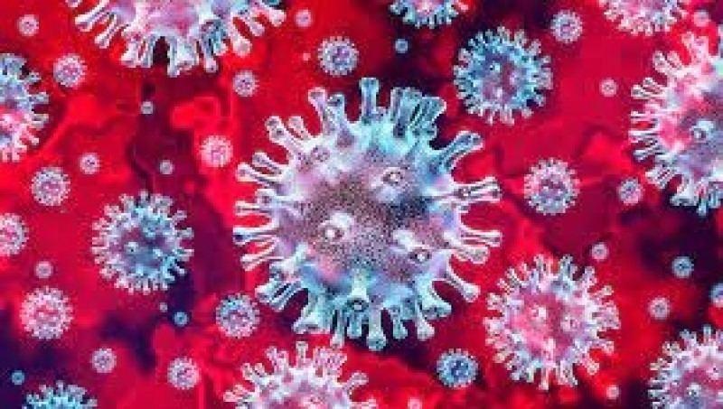 coronavírus não foi desenvolvido como arma biológica, ao mesmo tempo que as agências não acreditam que as autoridades chinesas tinham conhecimento prévio do vírus (Divulgação)