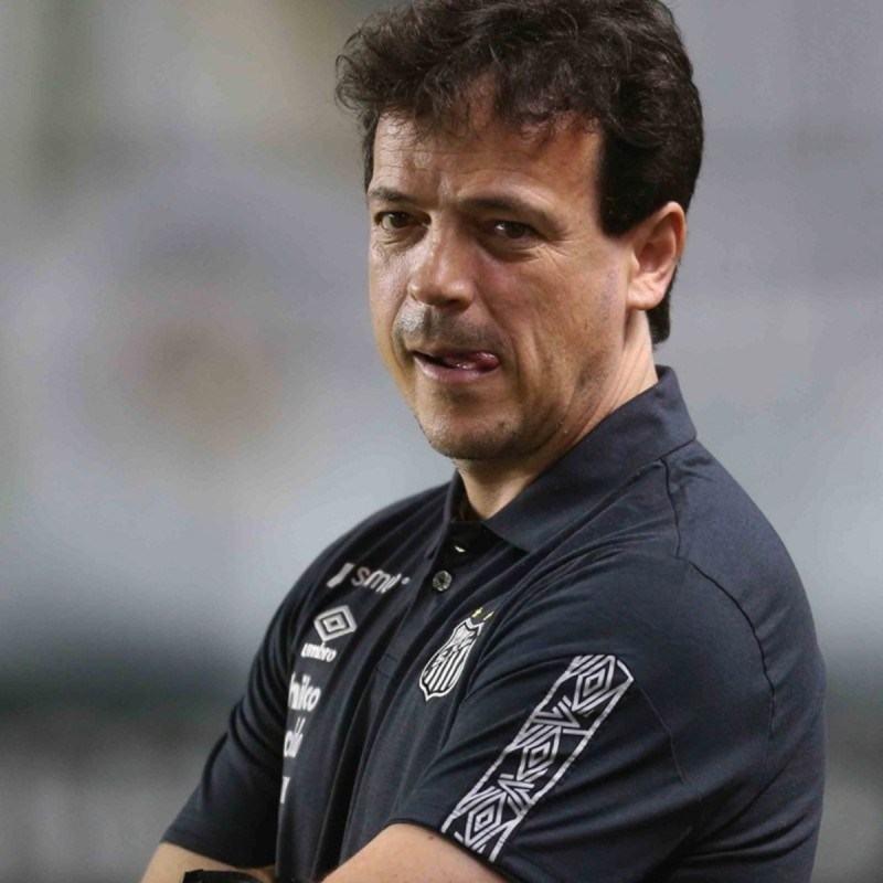 O técnico Fernando Diniz não tem muito tempo pra trabalhar (Divulgação)