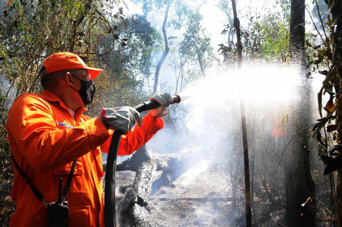Um inc&ecirc;ndio de grandes propor&ccedil;&otilde;es atingiu uma &aacute;rea de preserva&ccedil;&atilde;o ambiental (APA) na regi&atilde;o do Parque Pico das Cabras, no distrito de Joaquim Eg&iacute;dio, em Campinas (Wagner de Souza/AAN)