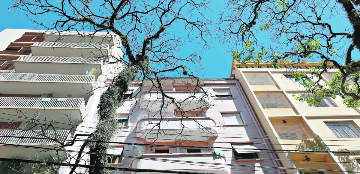 Nestes tempos de resguardo em nossas casas e apartamentos, saída é curtir uma série ou apreciar uma boa leitora (LEANDRO FERREIRA/AAN)
