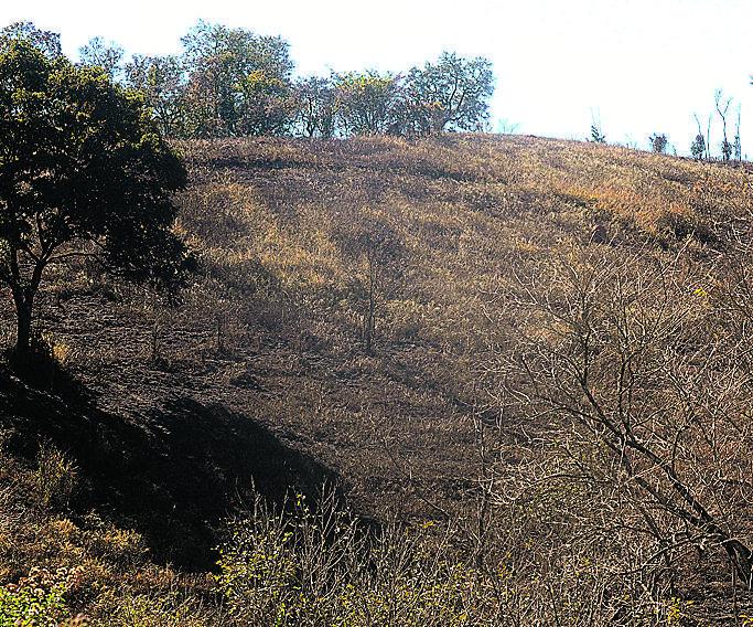 Cerca de 14 mil metros quadrados foram destruídos pelo incêndio (Matheus Pereira/AAN)