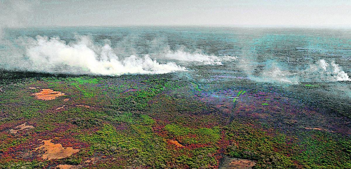 Mata no município de Poconé, Pantanal, no Mato Grosso, arde em chamas; tempo seco dificulta ação de brigadas (Rogério Florentino/AFP)