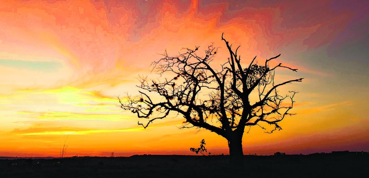 Céu de fogo em meio à natureza morta dá aspecto de um quadro durante pôr do sol na vizinha Indaiatuba (José Braz Lima/foto do leitor)