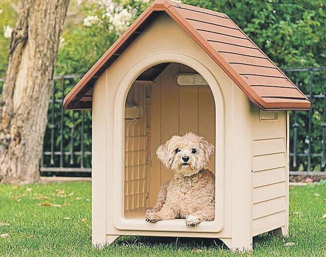 Arrecadação Canina (Divulgação)