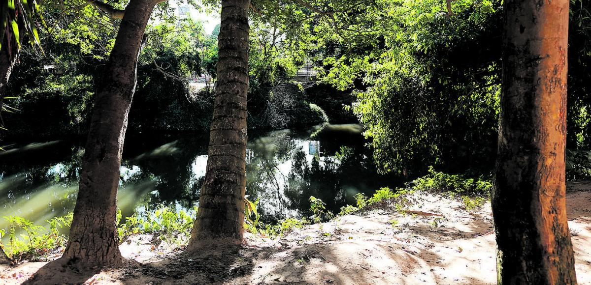 Cenário de tranquilidade às margens do Rio Atibaia, em Sousas, distrito que ainda mantém o seu lado bucólico (Leandro Ferreira/AAN)