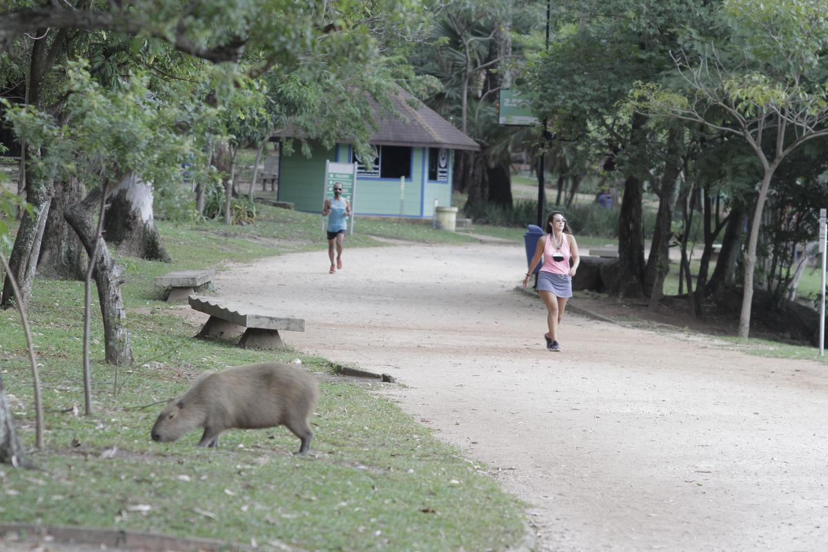 Usuários na pista interna da Lagoa que usa caibros: muitos aprovam a mudança em nome da preservação (Kamá Ribeiro)