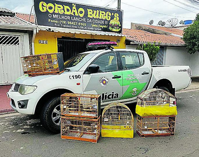 Policia Ambiental durante apreensão feita na cidade de Sumaré  (Divulgação)