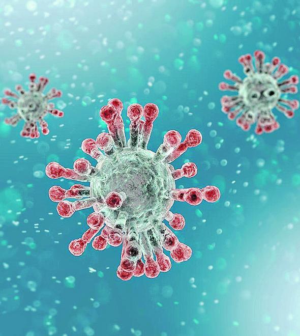 É o primeiro trabalho a associar populações celulares resistentes à infecção viral aos aspectos clínicos (Cedoc/RAC)