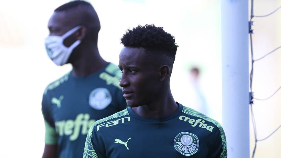   (Cesar Greco/Ag. Palmeiras)