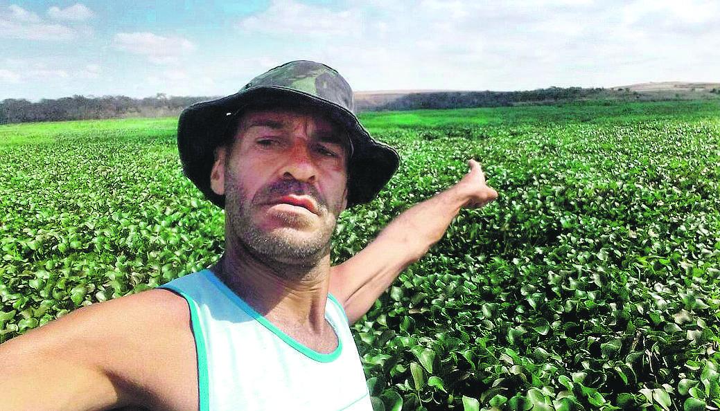 Oscar Fabiano Bueno, um apaixonado pela represa, mostra a quantidade de aguapés que tomou conta do reservatório (Divulgação)