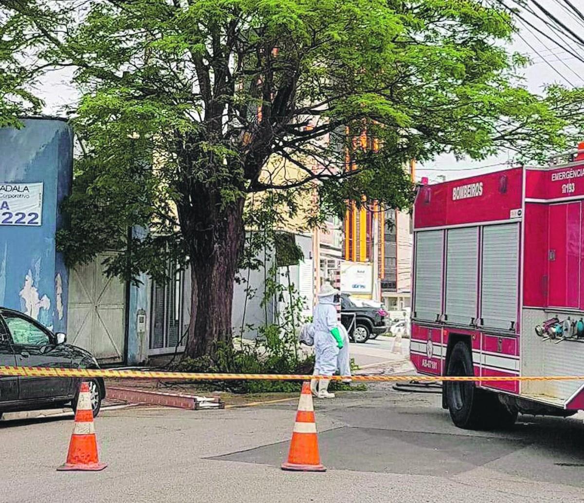 Acima, agentes do Corpo de Bombeiros foram acionado e chegaram em poucos minutos para tentar conter a investida dos insetos, que ficaram espalhados pela via e calçadas do local; fúria deve ter sido provocada por barulho de equipamento, segundo especialista (Alessandra Subutzki/ Foto do leitor )