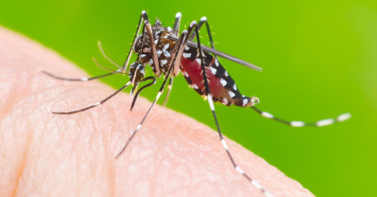 Os municípios das regiões Norte e Nordeste foram os afetados pela dengue, zika e chikungunya ( )