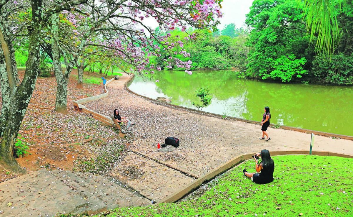Grupo faz ensaio fotográfico à beira do lago em meio à natureza exuberante do parque: área tem projeto paisagístico de Roberto Burle Marx (Leandro Ferreira/AAN)
