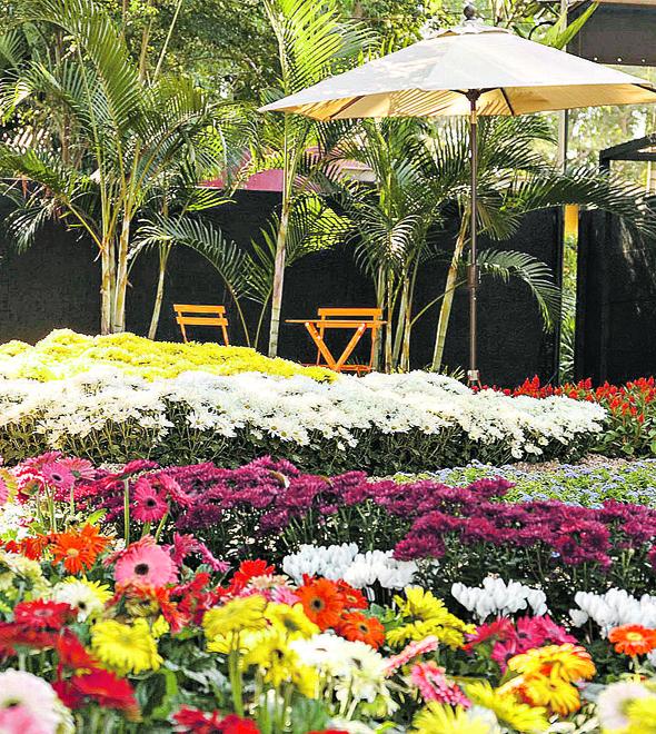 Um dos canteiros da edição deste ano da tradicional Expoflora, em Holambra: Brasil já é um dos 15 maiores produtores de flores do mundo (Divulgação)