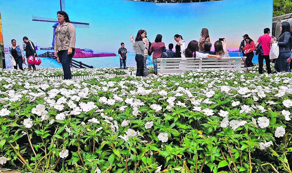 Turistas caminham pelo pavimento tomado por plantas, no galpão de exposições: espetáculo de cores e perfumes, renovado a cada ano  (Divulgação)