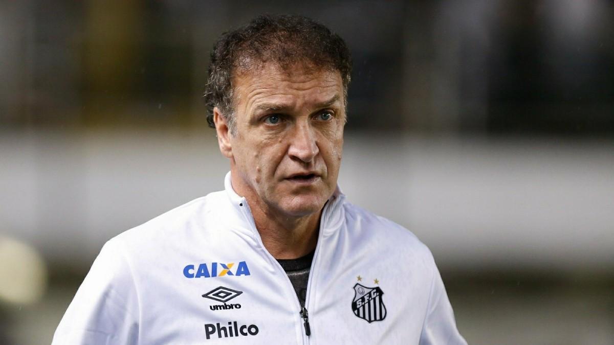   (Divulgação)