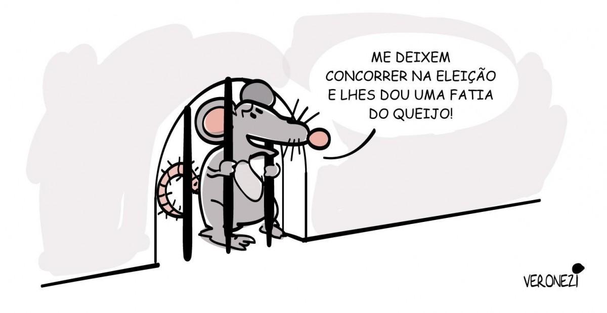     (  )