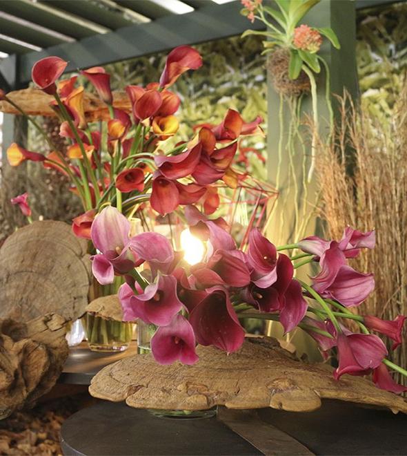 Encontro de Floristas e Garden Fair vão de 8 a 10 (Divulgação)
