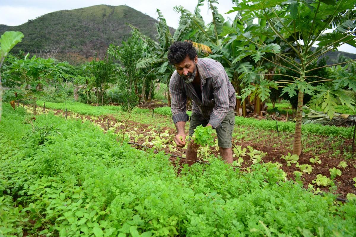 A concentração do mercado global de alimentos acaba "espremendo" as cadeias de fornecimento pelo menor valor dos seus produtos (AurelinoXavier)