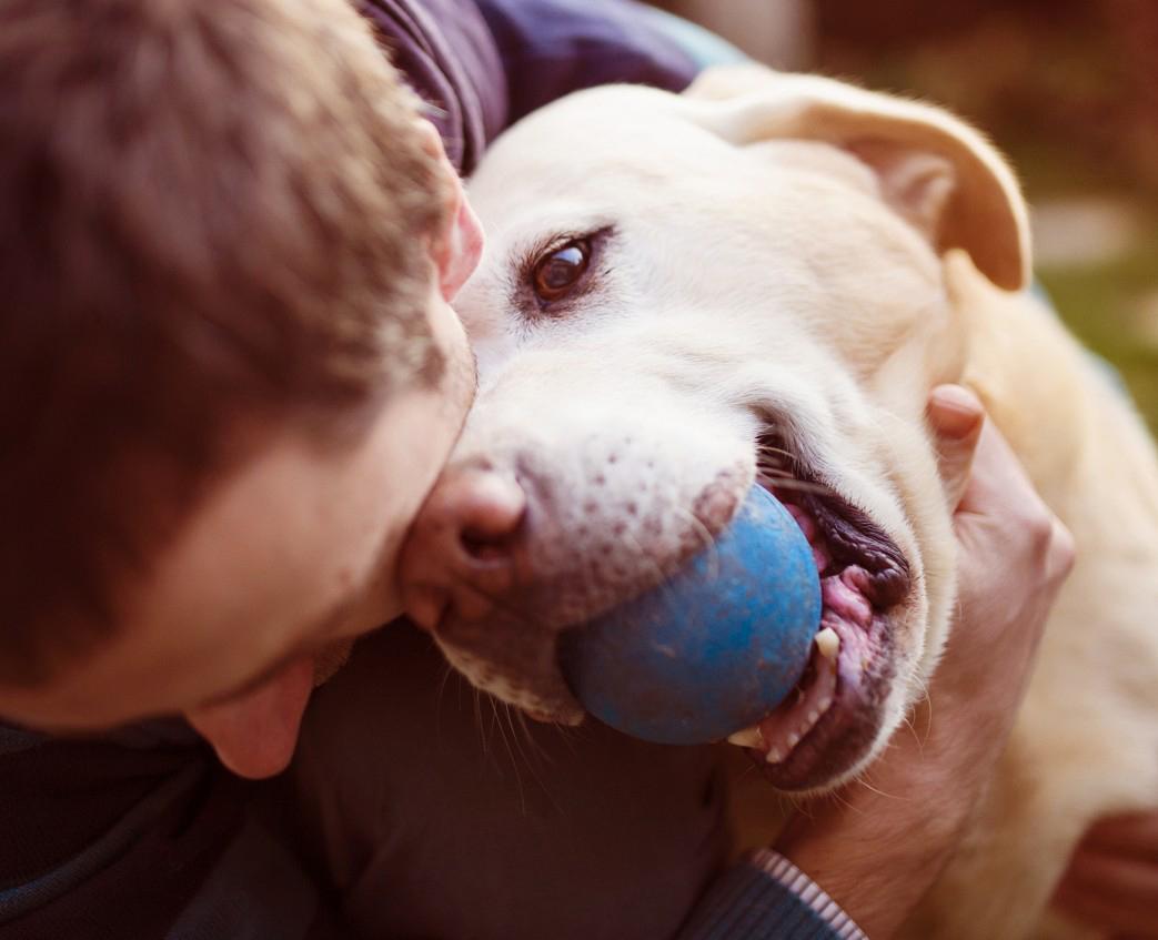 Apesar de permitir a convivência do ex-companheiro com a cadela, o colegiado descartou igualar a posse de animais com a guarda de filhos (Reprodução)