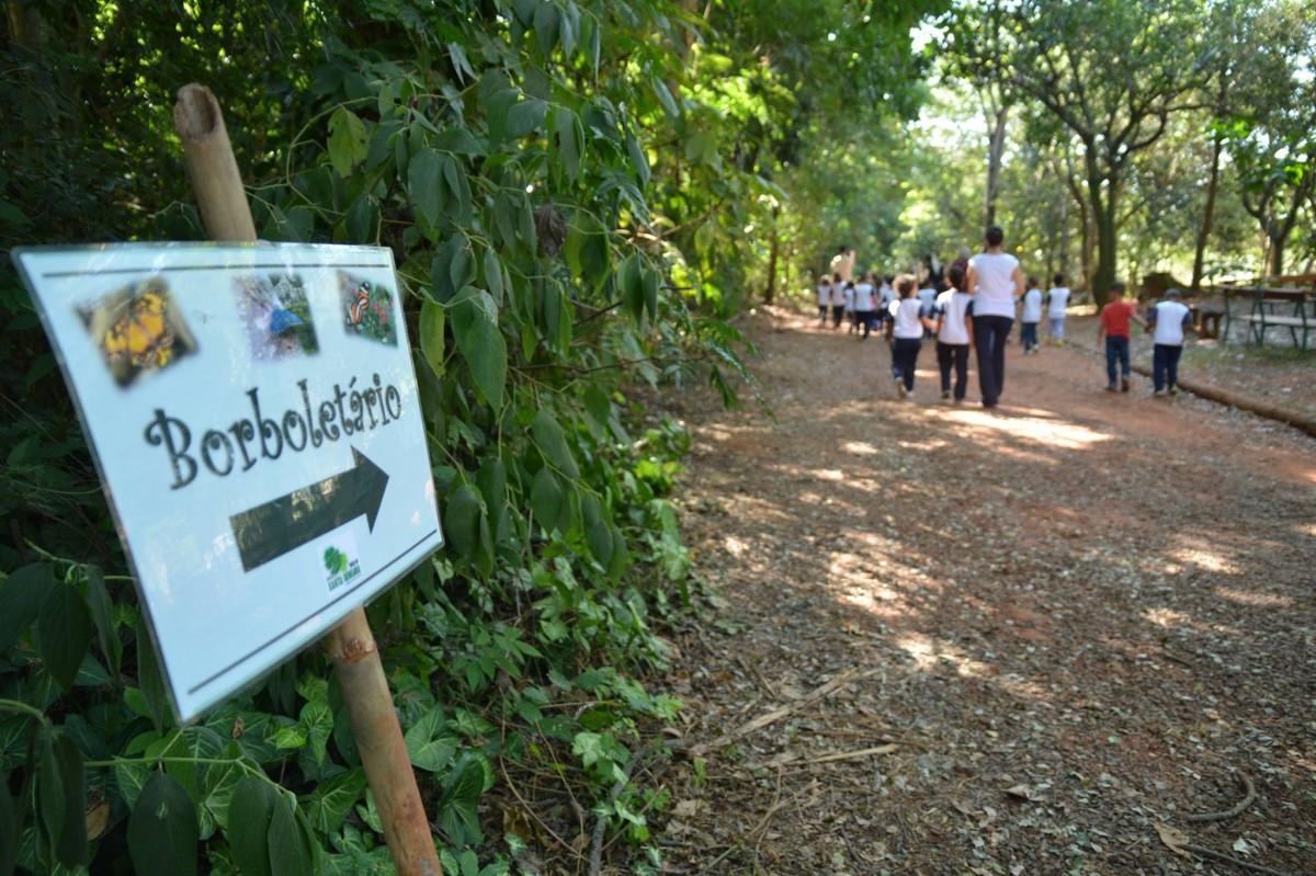    (Divulgação)