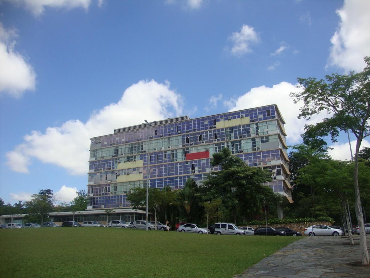     (Divulgação)