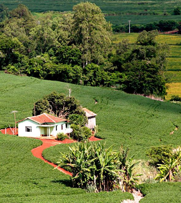 Federação agrícola quer pautar segurança rural no debate eleitoral em SP (Divulgação)