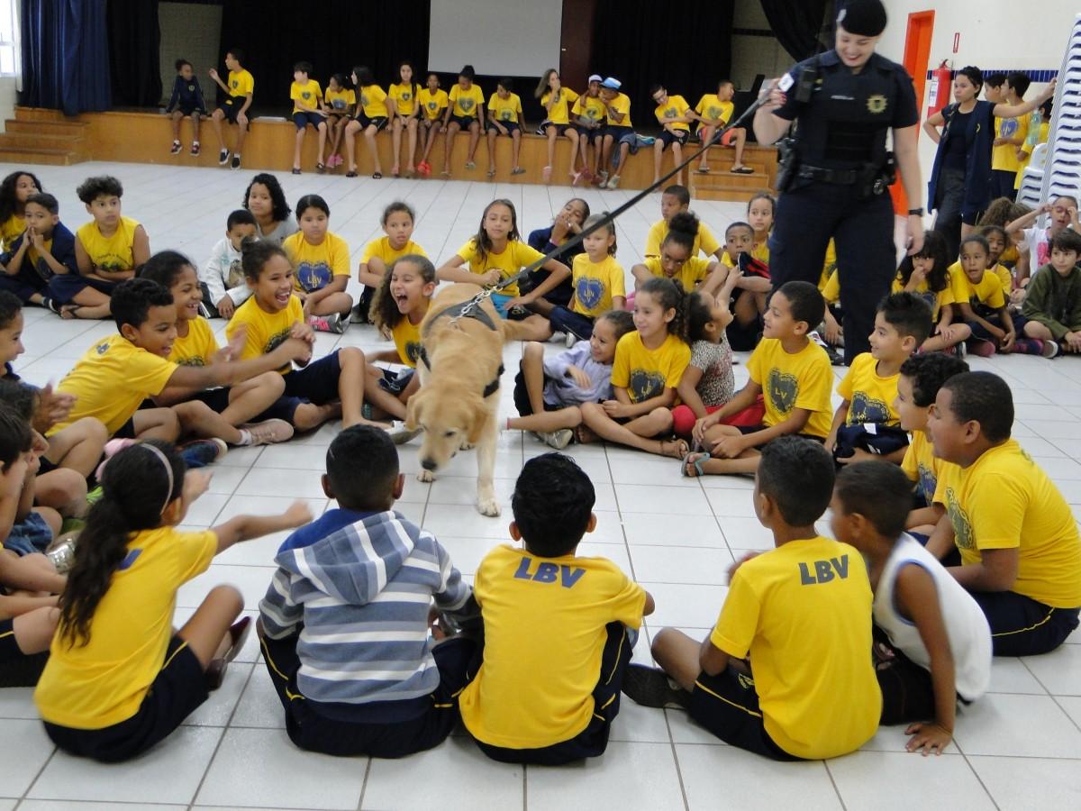 As crianças e os adolescentes observaram atentamente as habilidades e a disciplina dos animais, interagindo de maneira saudável e respeitosa  (Divulgação)