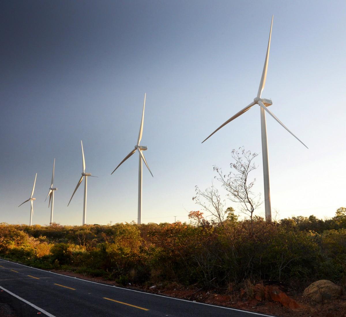 Segundo o BNDES, os investimentos em parques eólicos, principalmente na região Nordeste do País, são um dos destaques do seu desempenho trimestral (João Ramos/Ascom SDE)