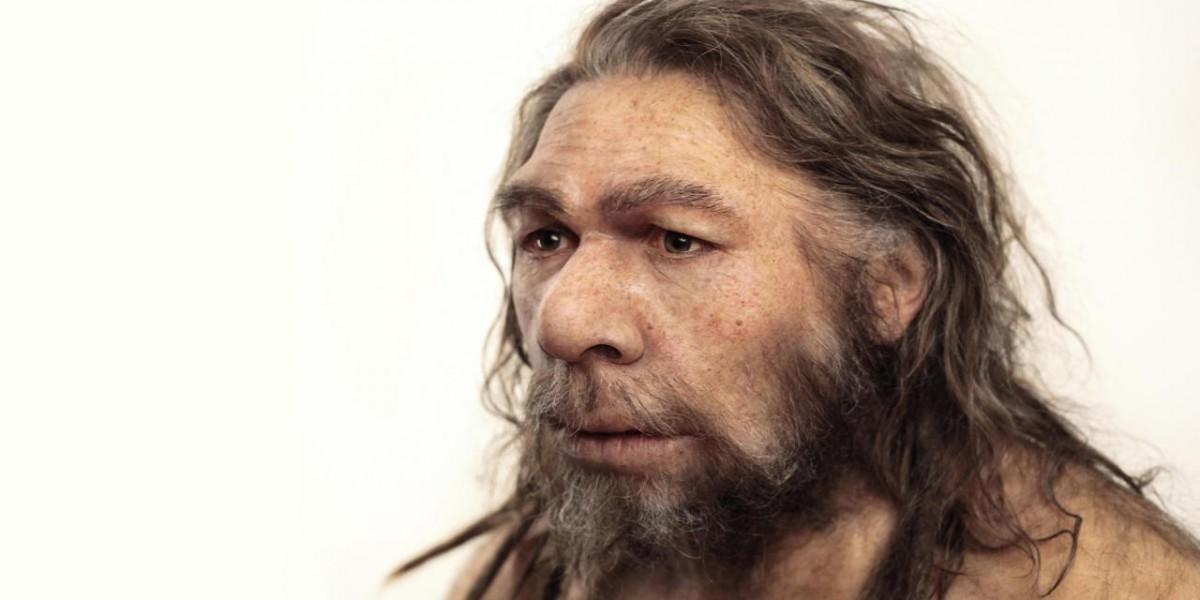 Cérebro do homem de Neanderthal ganha forma (Divulgação)