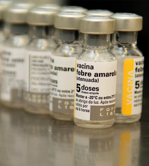 Vacina contra dengue atrasa e fica para 2019 (Divulgação)