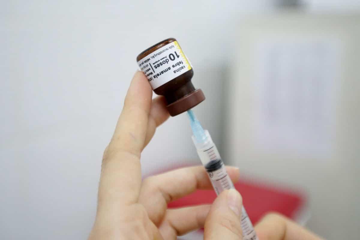 Brasil registra 97 mortes por febre amarela em 2018. (Divulgação)