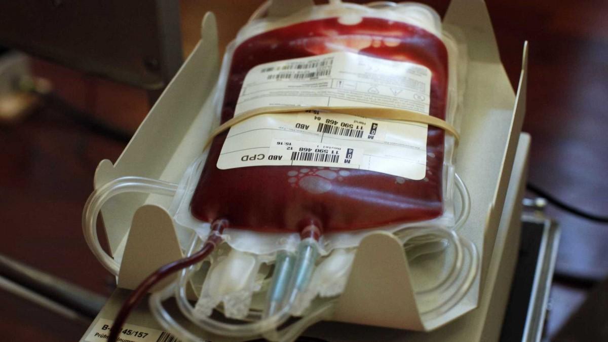 A campanha chama a atenção da população para a necessidade de doar sangue para o período do carnaval. (DR)