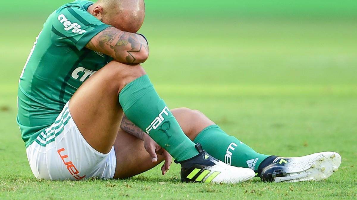   (Divulgação)