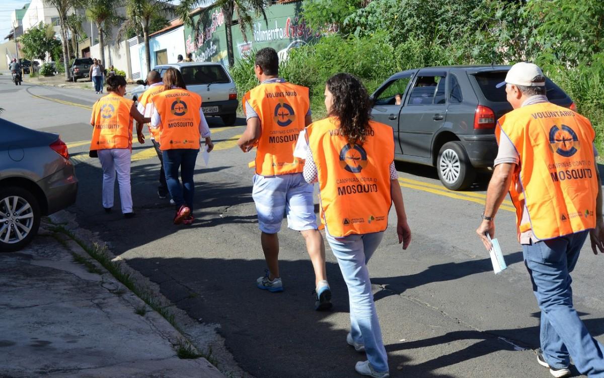 3º Mutirão pretende livrar 22 cidades da região de Campinas do mosquito (Prefeitura de Campinas/Divulgação)