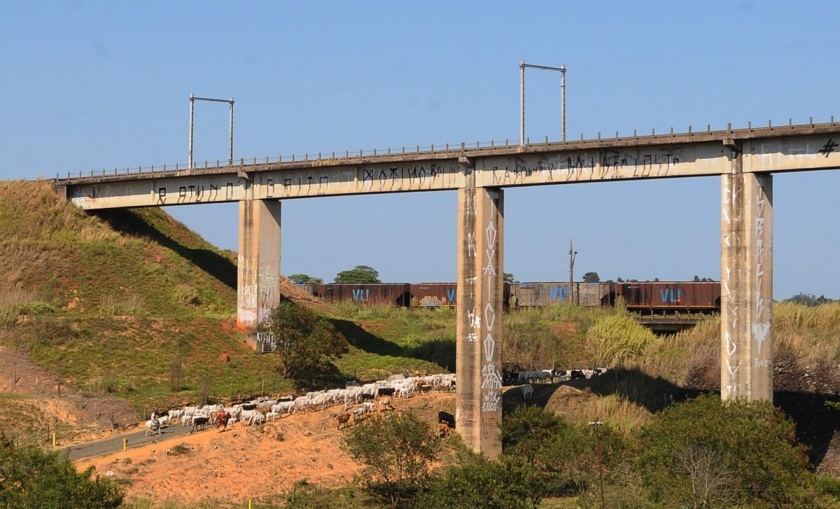 Boiada segue o seu caminho sob o pontilhão, enquanto os vagões rumam para mais um destino comercial na região (Wagner Souza/AAN)