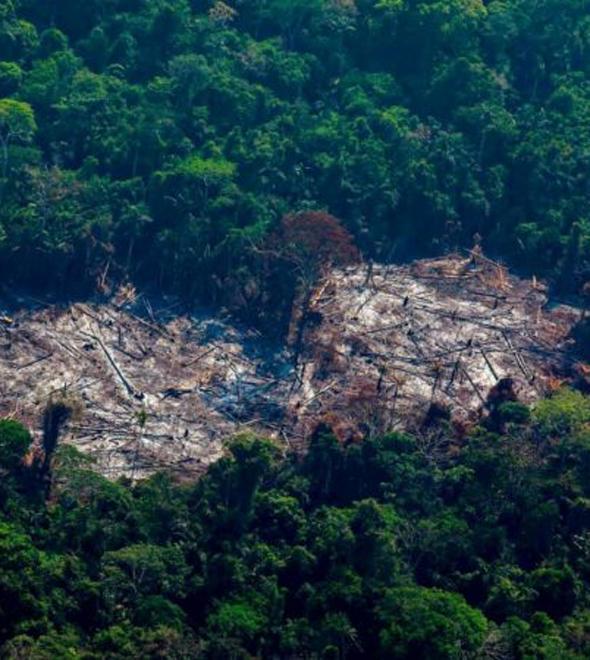 Operação Verde Brasil 2 na Amazônia será prorrogada até abril, diz Mourão (Divulgação)