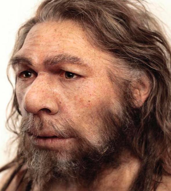 As pinturas foram criadas há mais de 64 mil anos, quando os únicos hominídeos na Europa eram os Neanderthais (Divulgação)